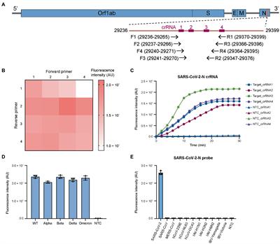 Internet of medical things-enabled CRISPR diagnostics for rapid detection of SARS-CoV-2 variants of concern